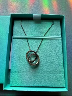 Tiffany & Co. Interlocking Ring Necklace, Sterling Silver